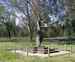 Symbolic Flame, Kings Park